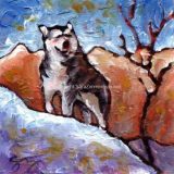 Majestic Malamute, Acrylic on canvas- 6 in x 6 in- SOLD 