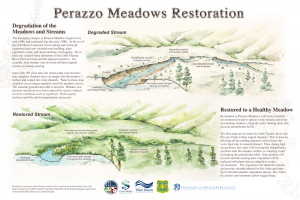 Perazzo Restoration Interpretive Signage with Sara's science illustration and graphic design