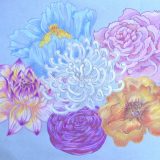 Favorite Florals, colored pencil on paper, 2012