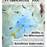 Moonshine Ink Cover: Newspaper cover illustration depicting pelicans