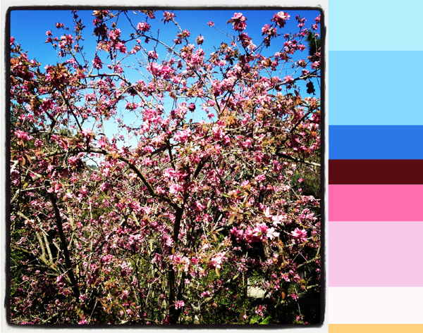 Crabapple blossom spring color palette