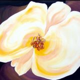 Flower Study No. 1, Acrylic on Paper, 14.25 in x 19.25 in, framed (reg. $290) SALE: $145
