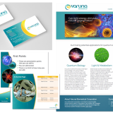 Logo, branding, business card design, stationery, Powerpoint presentation design, website design and development for biomedical company